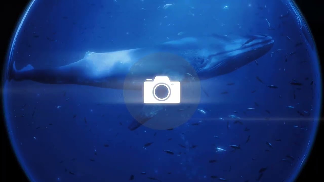 Ocean Sense underwater vision and interaction concept
